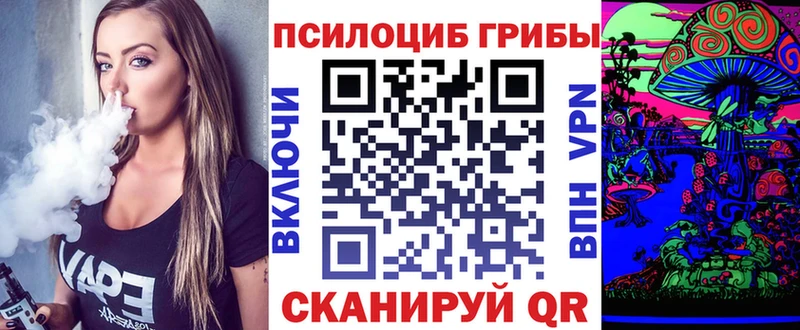 наркота  Дятьково  Псилоцибиновые грибы Magic Shrooms 